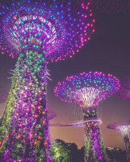 Colorful Singapore